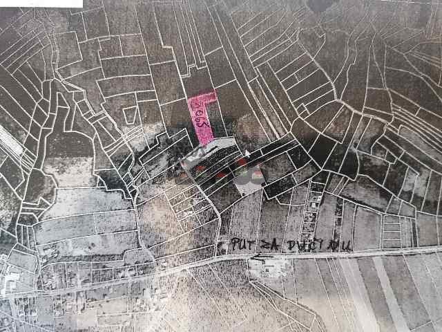 placevi   Beograd okolina  Kosmaj