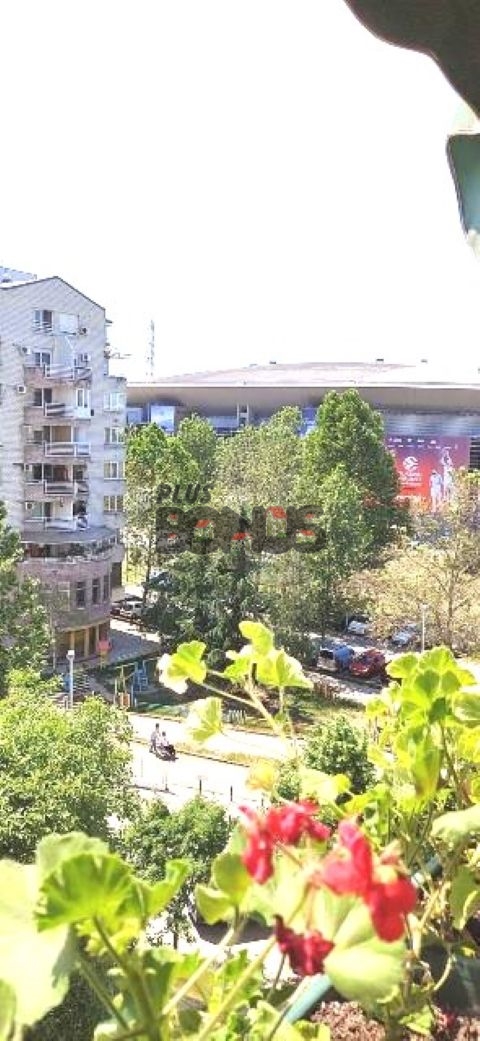 Bild 2251200