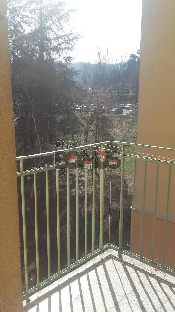 Bild 687646