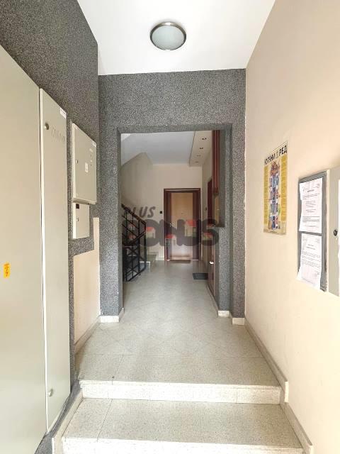 Bild 955165